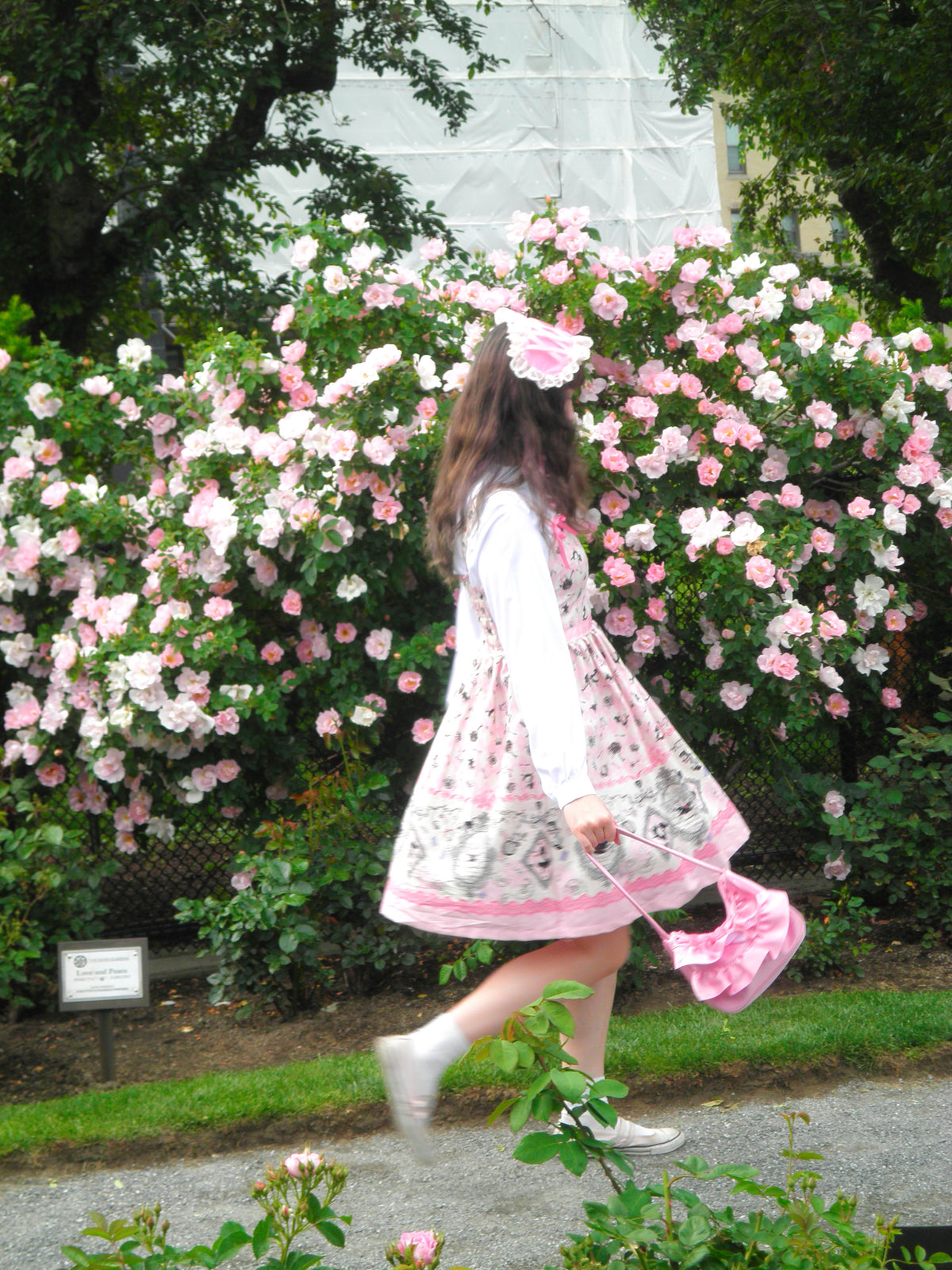 Wonderland JSK
