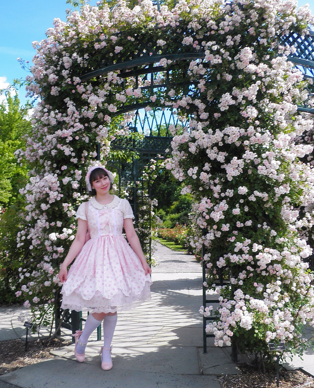 Rose Garden JSK